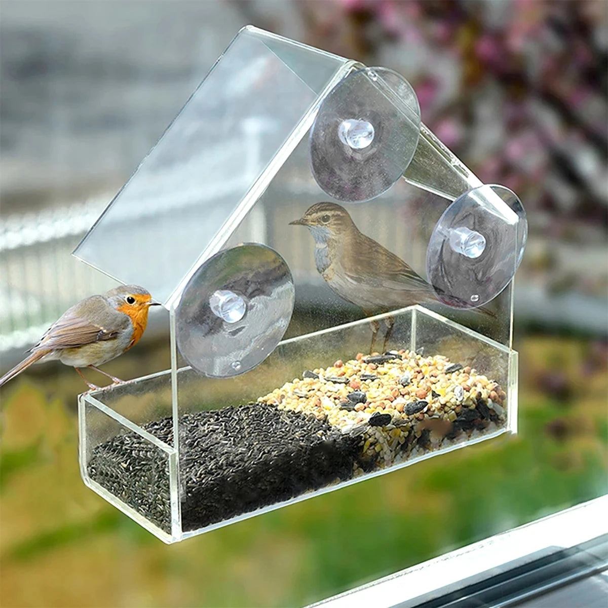 House Transparent Window Wild Bird Feeder Outdoor Removable Suction Cups Sliding Automatic Birds Feed Tray for Garden Patio Yard